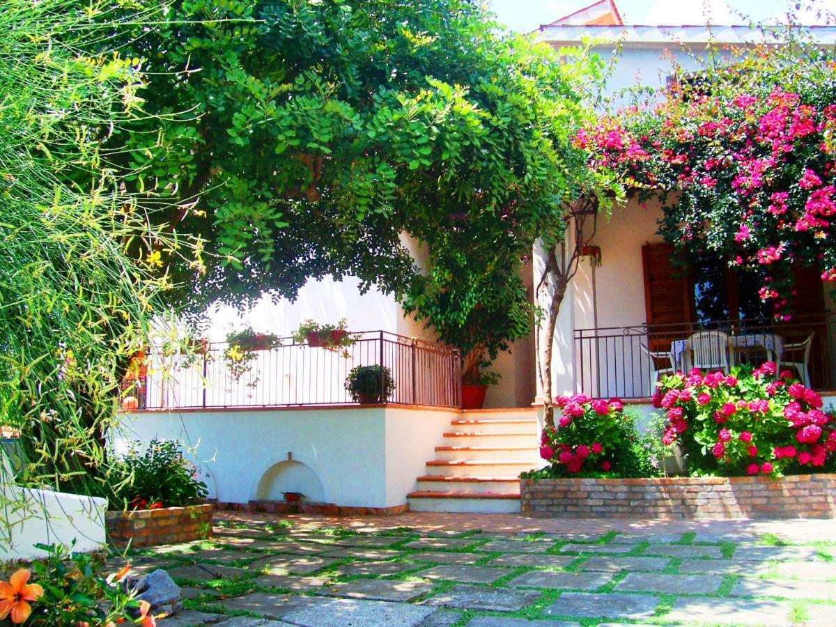 B&B La Casa Del Gelso Acquafredda Kültér fotó