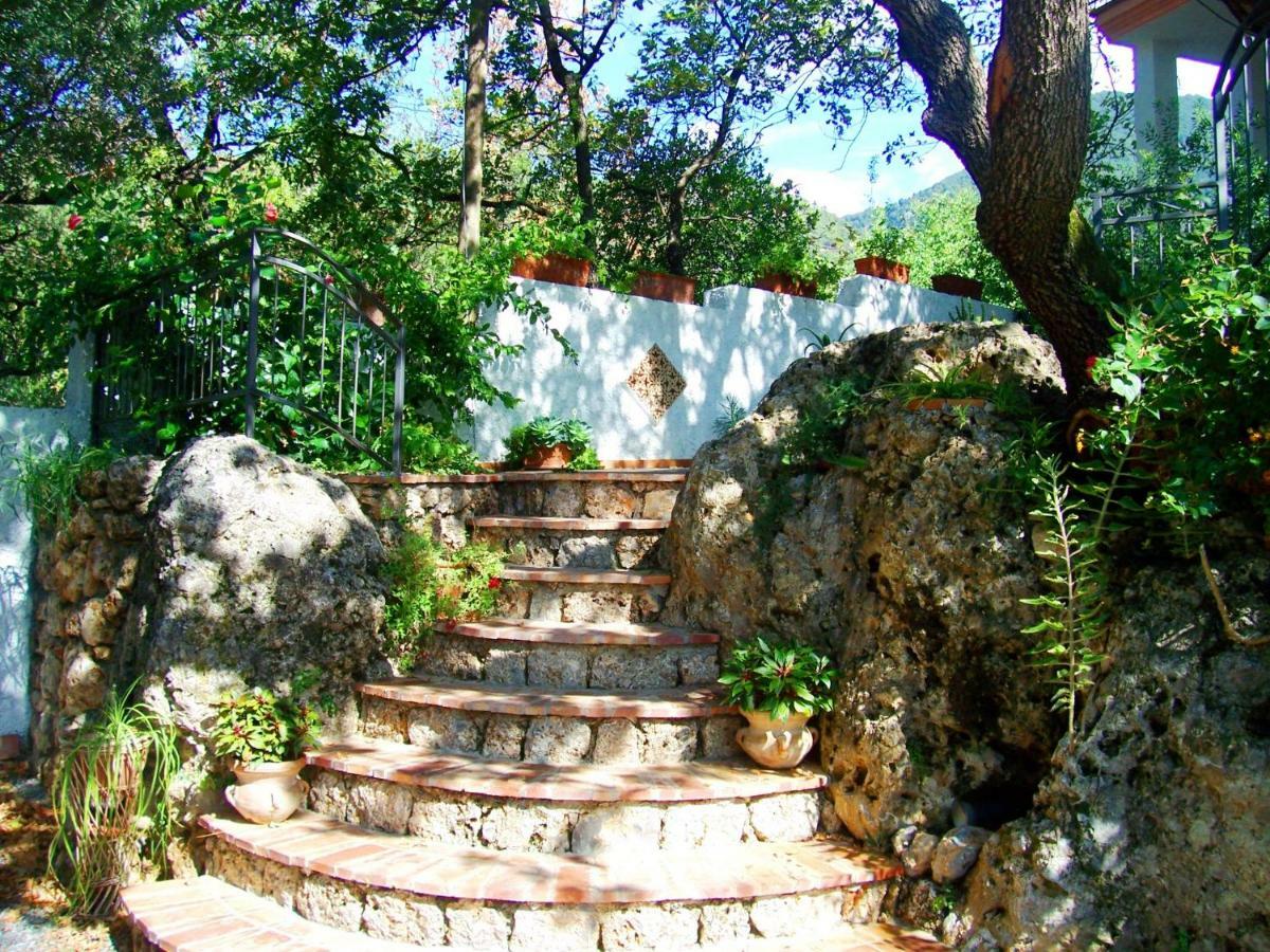 B&B La Casa Del Gelso Acquafredda Kültér fotó