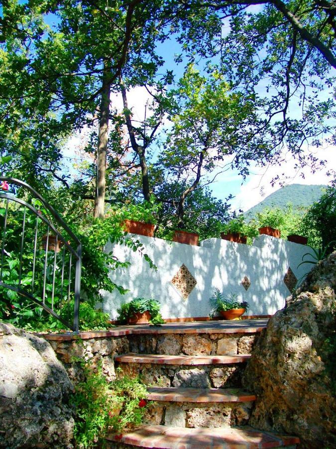 B&B La Casa Del Gelso Acquafredda Kültér fotó