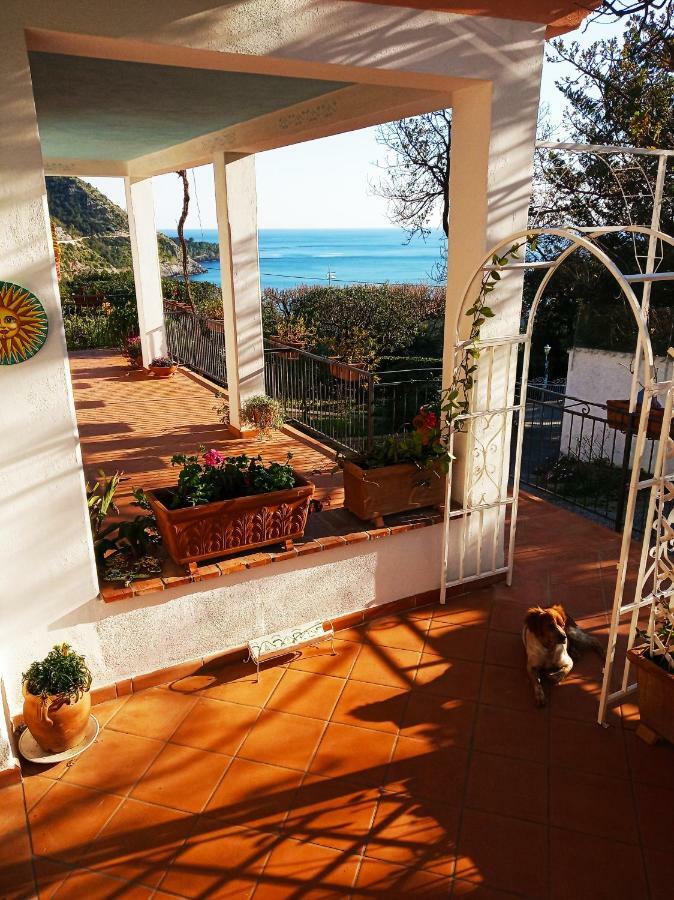 B&B La Casa Del Gelso Acquafredda Kültér fotó