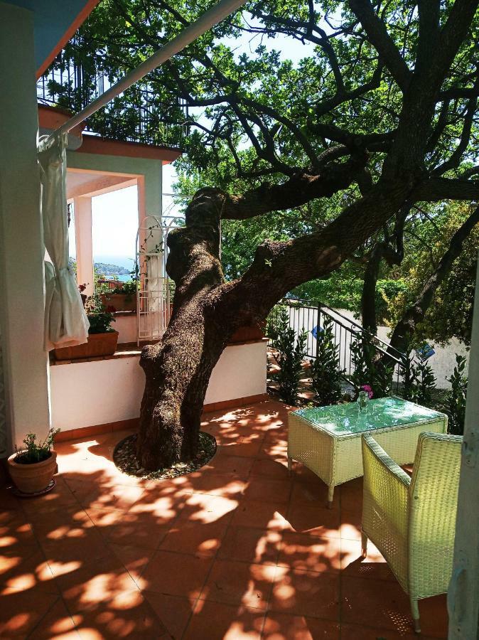 B&B La Casa Del Gelso Acquafredda Kültér fotó